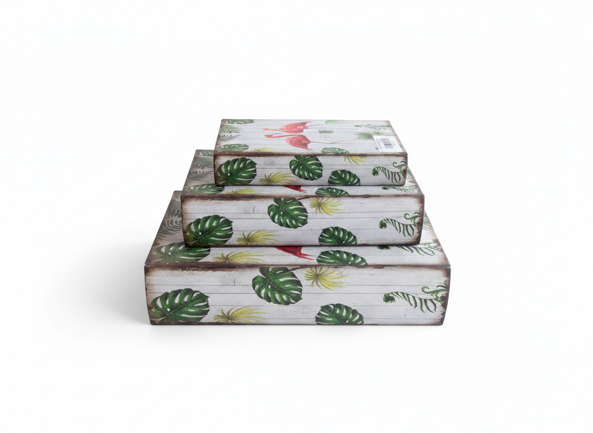 Dummy Books (Set Of Three)