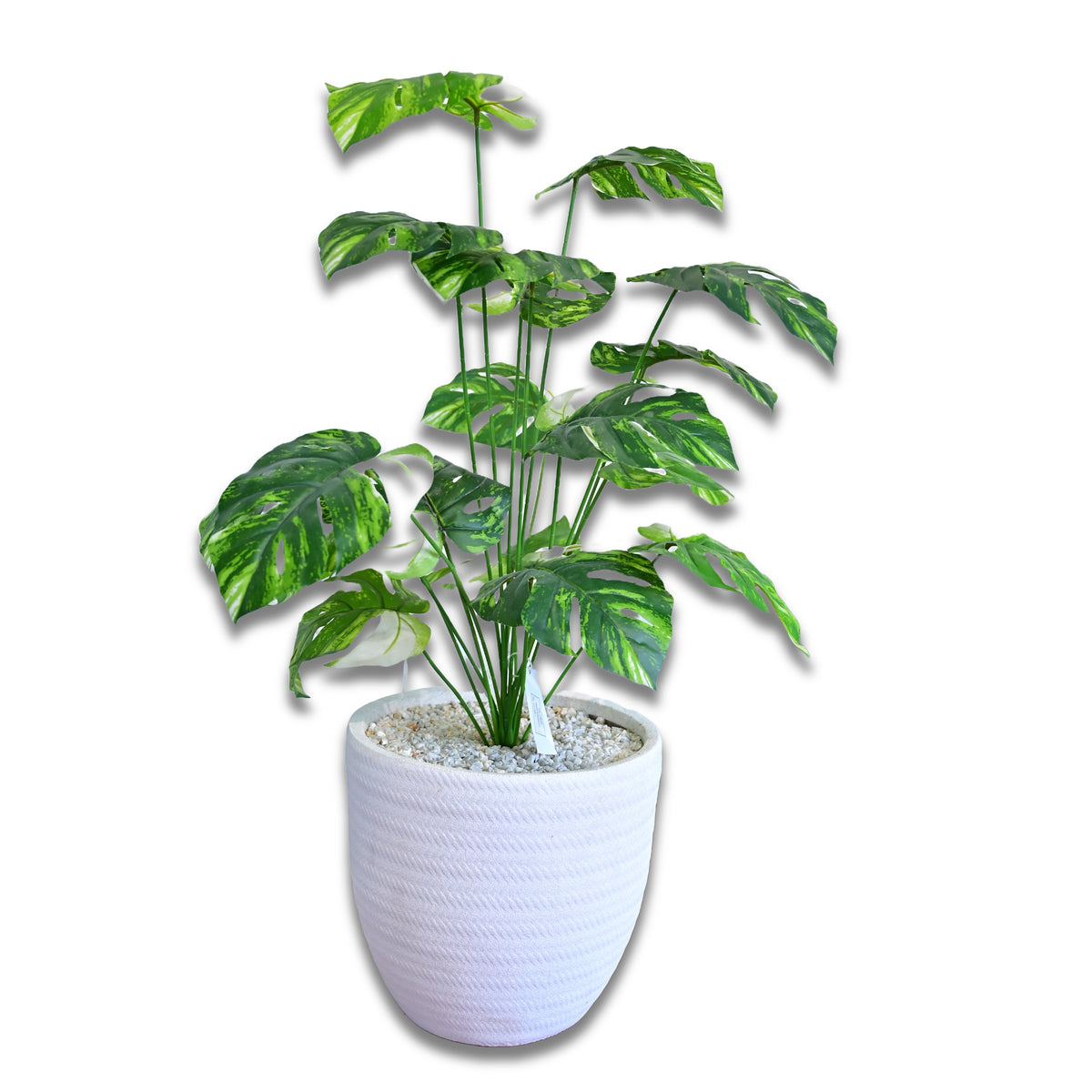 Jute 12 inches white stone with white shade monster 2 ft