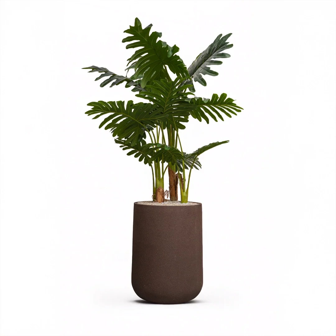 Heaven 22 inches chocolate stone with panja palm