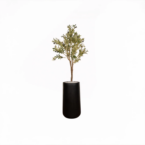 Heaven 30 inch black GRP with olive tree plant