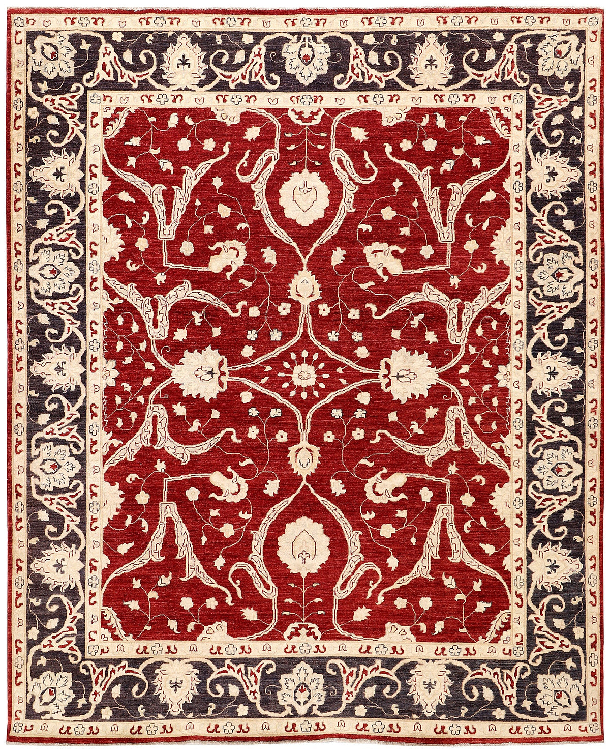 Allover Afghani