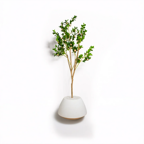 Zeenith 17 inch white stone with premium rose plant