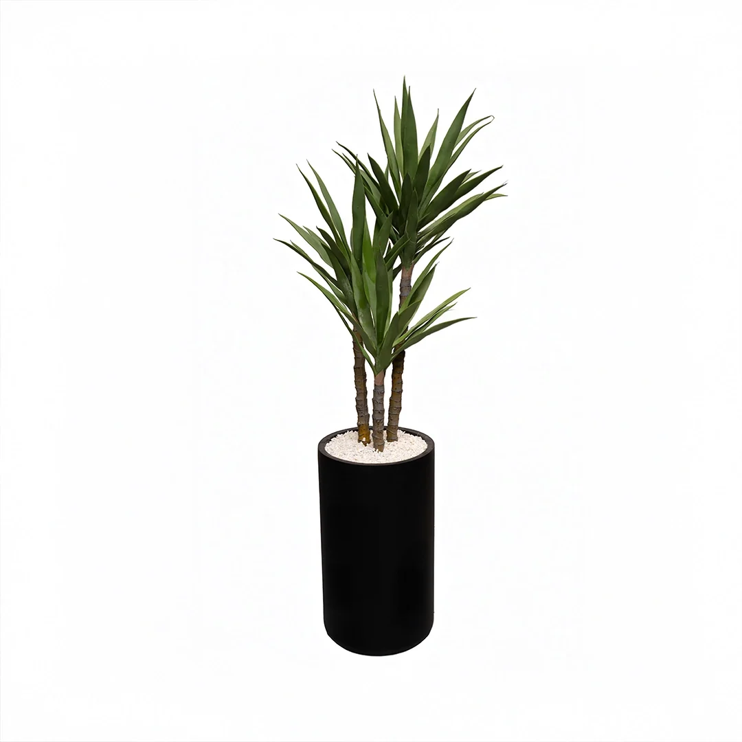 Heaven black 24 inch with cactus premium plant