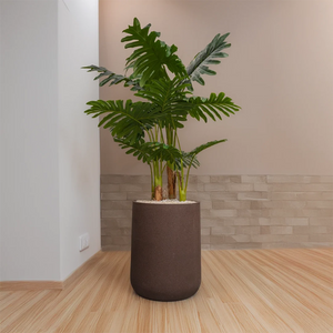 Heaven 22 inches chocolate stone with panja palm