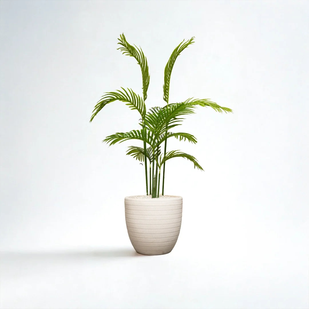 Jute 16 inches white stone with areeca 4 ft