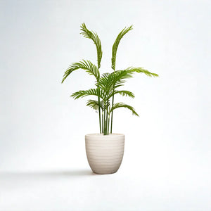 Jute 16 inches white stone with areeca 4 ft
