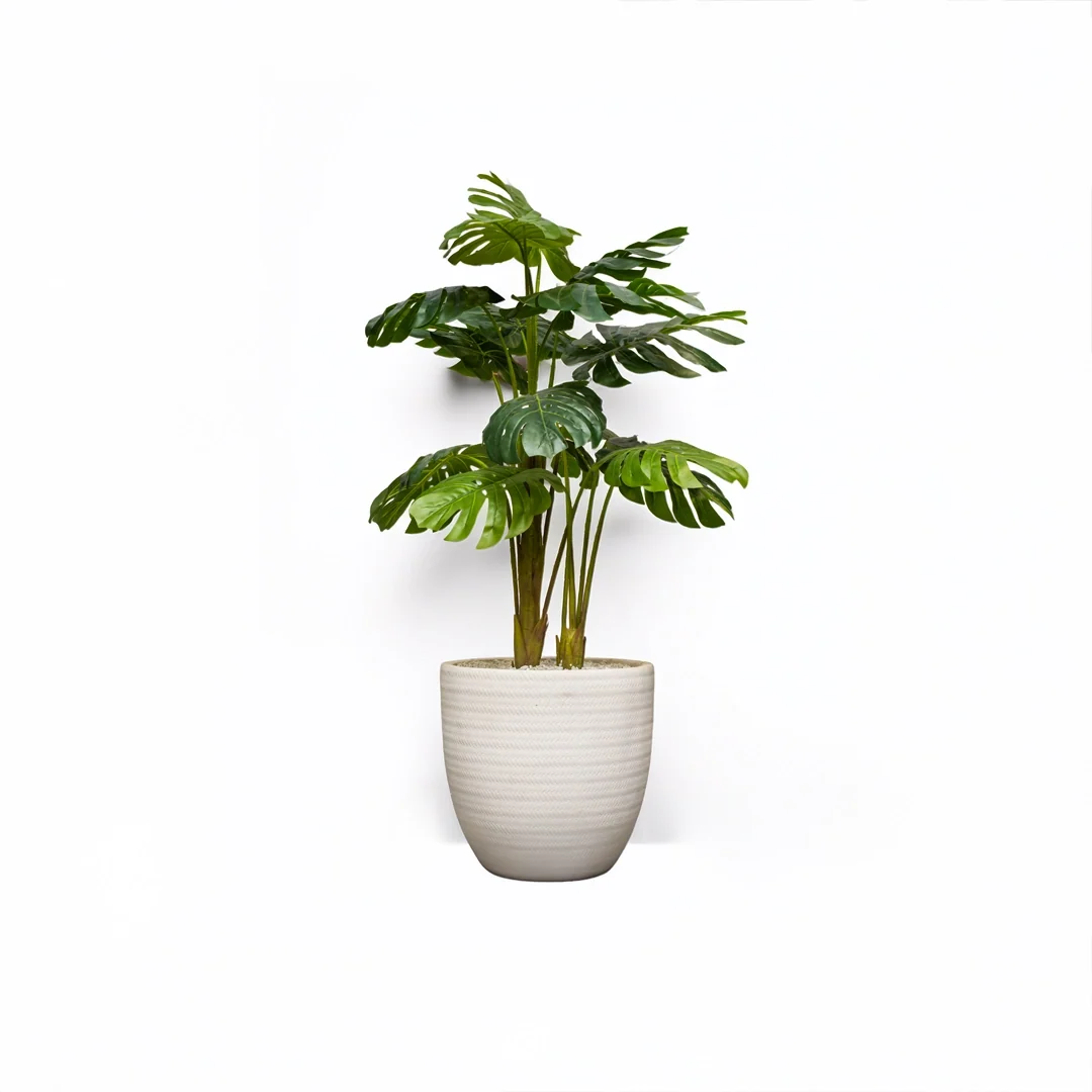 Jute 16 inches white stone with monster palm